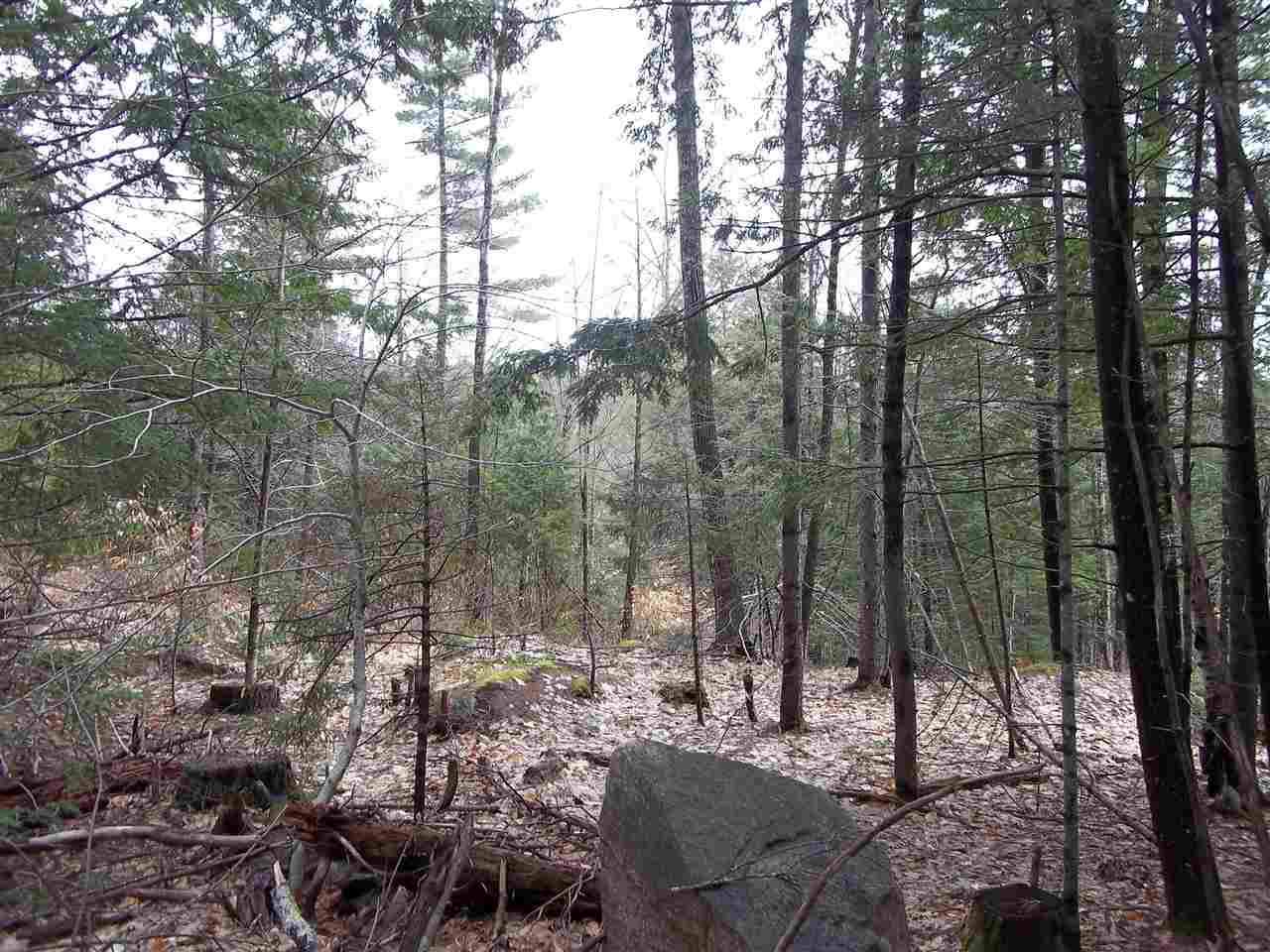 Hill Road Center Conway, NH 03813 - Photo 13 of 14