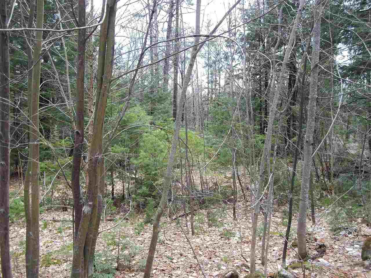 Hill Road Center Conway, NH 03813 - Photo 10 of 14