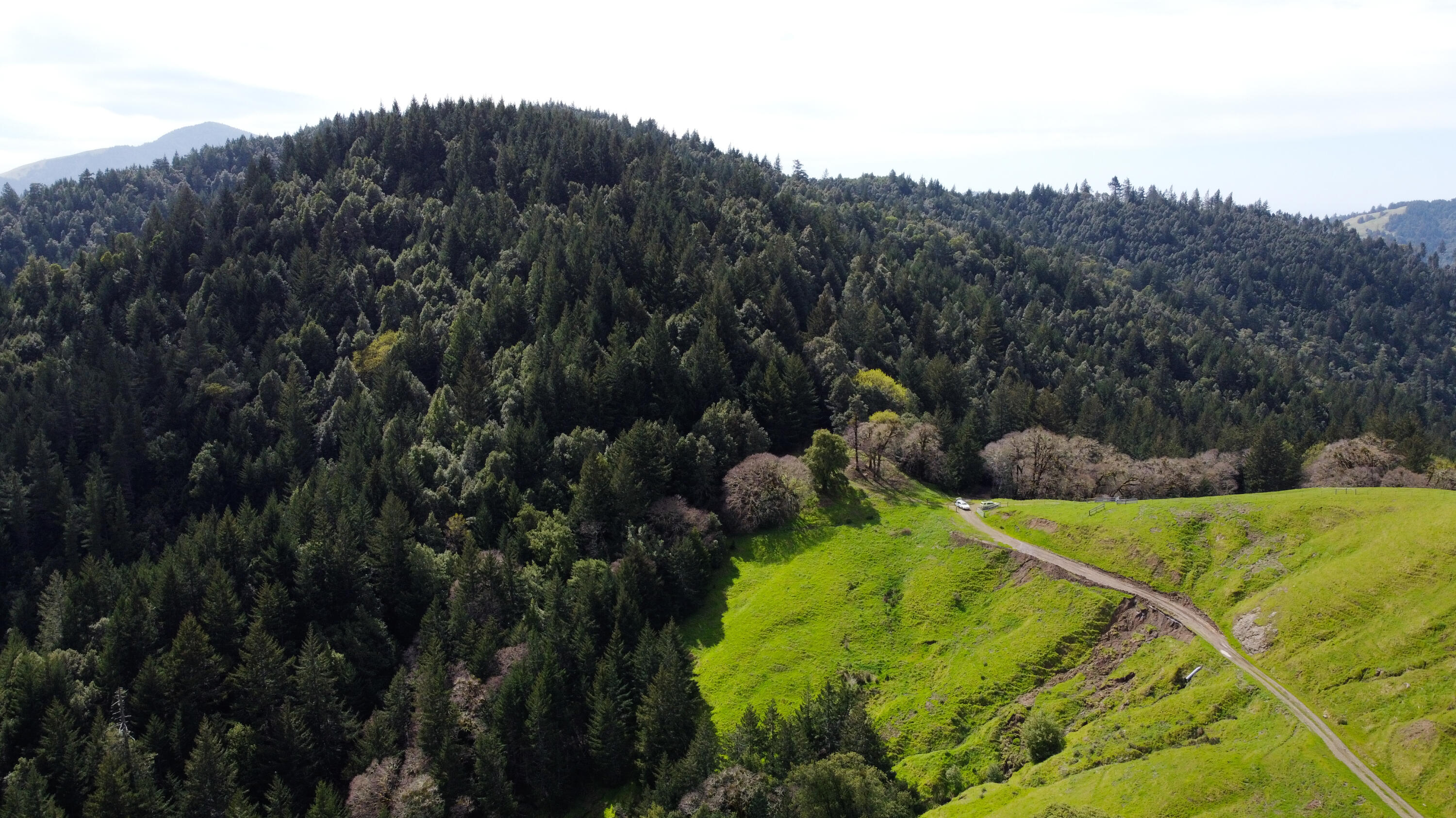 4001 Conklin Creek Road Ferndale, CA 95536 - Photo 119 of 125