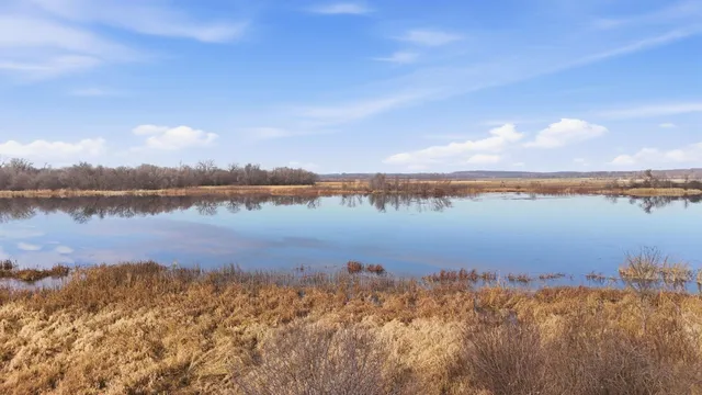 $989,900 | 1593 Pine Cone Road North, Sartell, MN 56377