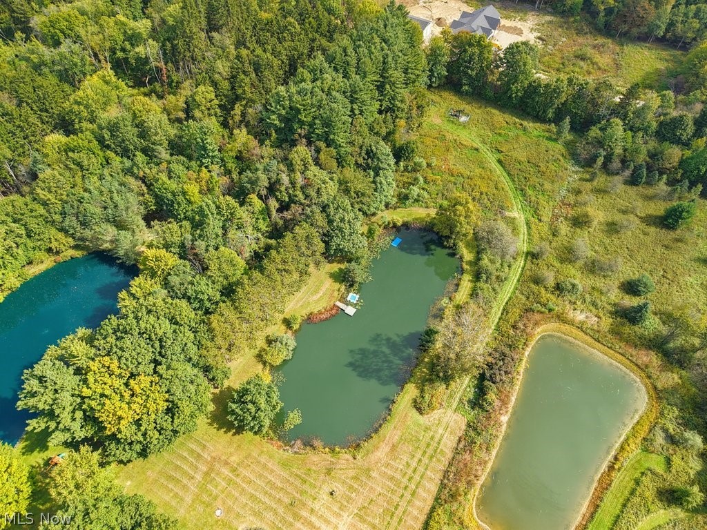 149 North Medina Line Road Akron, OH 44333 - Photo 40 of 42 Three distinct ponds, one with a dock, surrounded by mature trees and expansive green areas