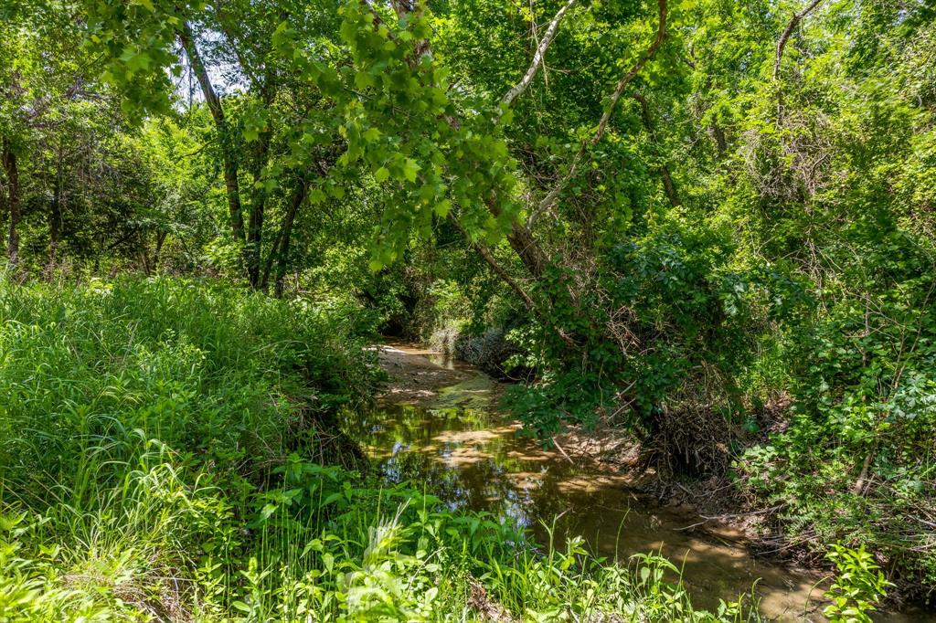 6345 Silver Creek Azle Road Azle, TX 76020 - Photo 39 of 40 a view of a forest