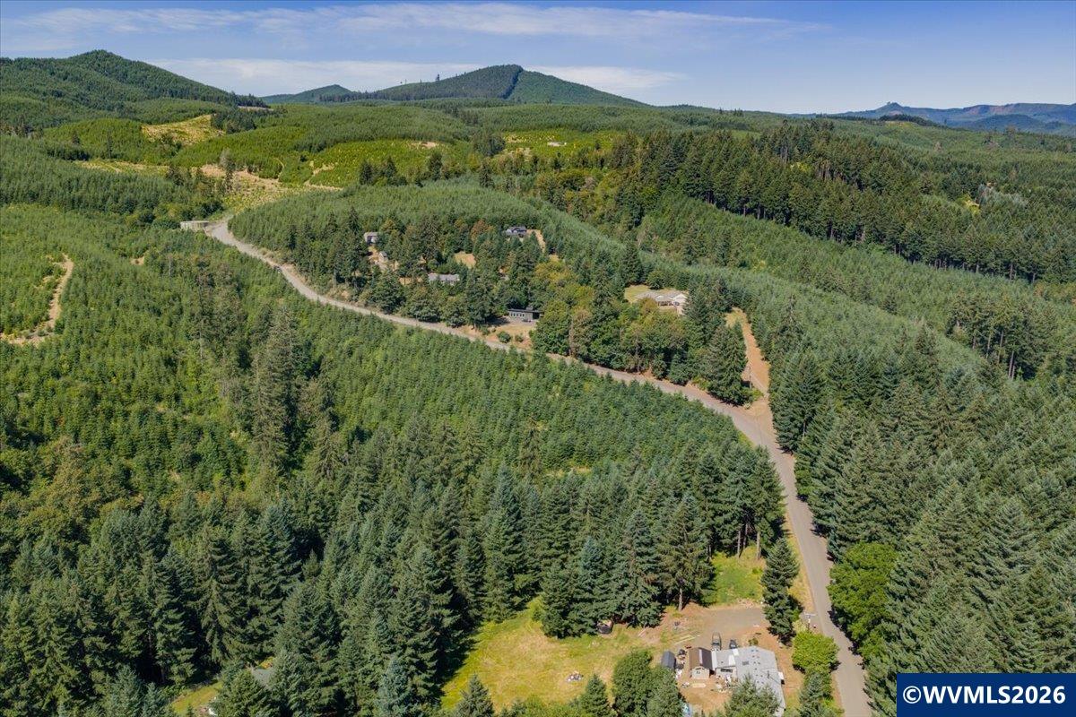 432 Chamberlain Road Falls City, OR 97344 - Photo 16 of 26