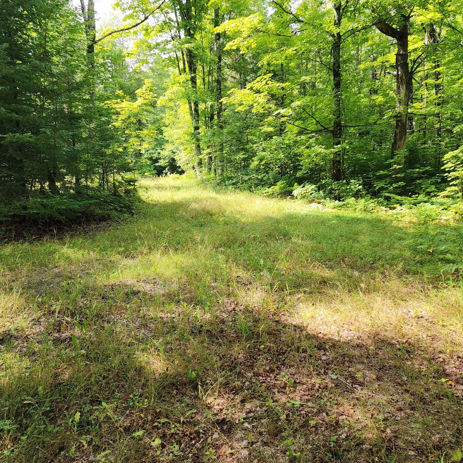1010 County Line Lake Road Watersmeet, MI 49969 - Photo 29 of 34 Gallery Image 29