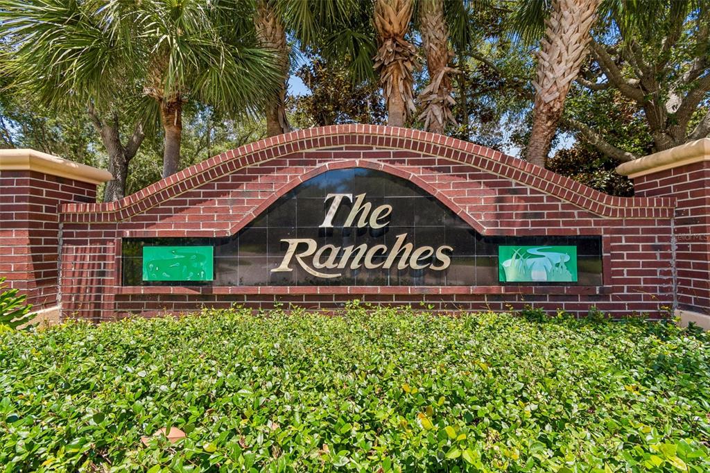32323 Fish Hook Loop Wesley Chapel, FL 33545 - Photo 61 of 76