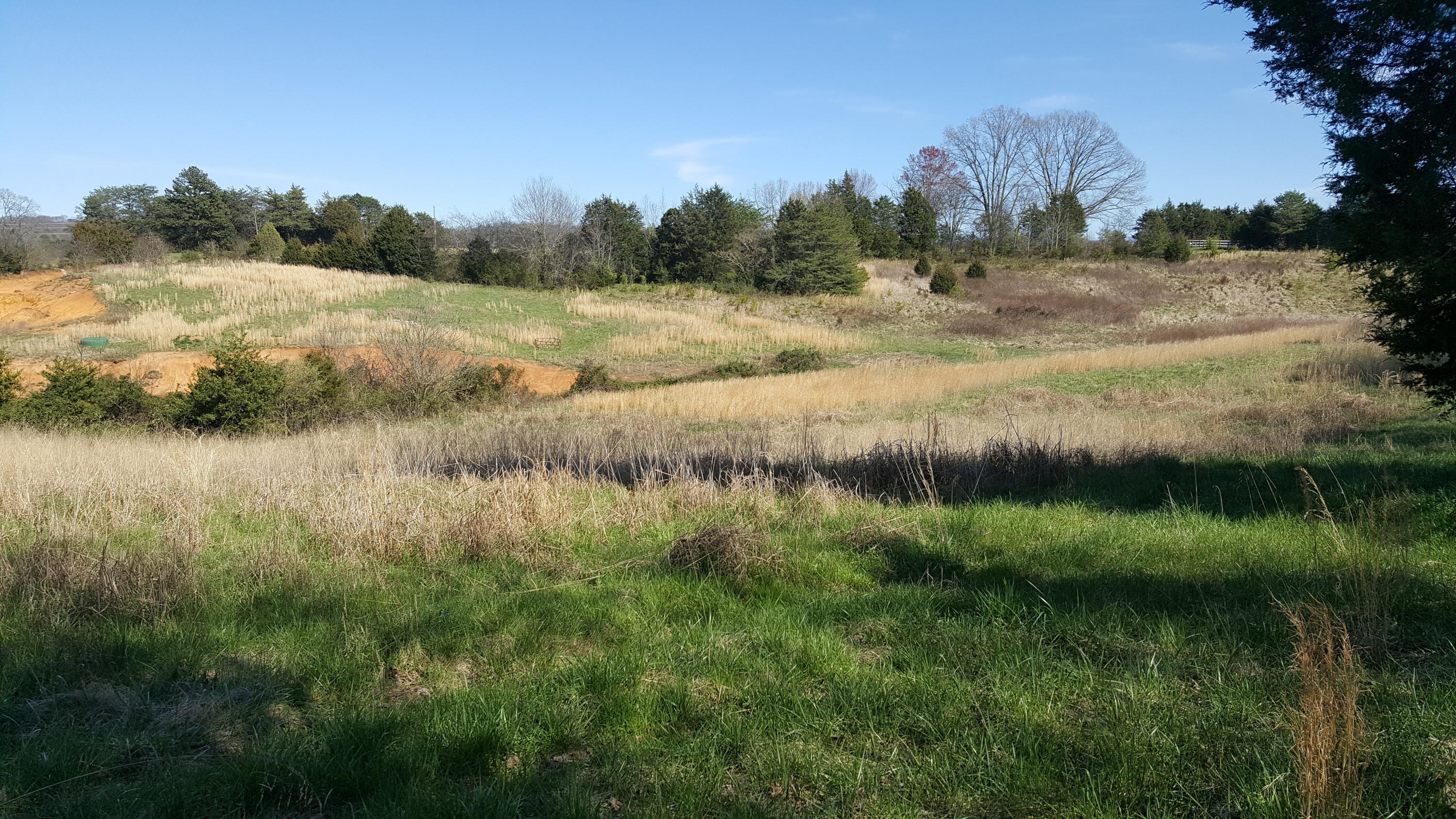 4713 Big Springs Road Greenback, TN 37742 - Photo 14 of 16 20190323_161551