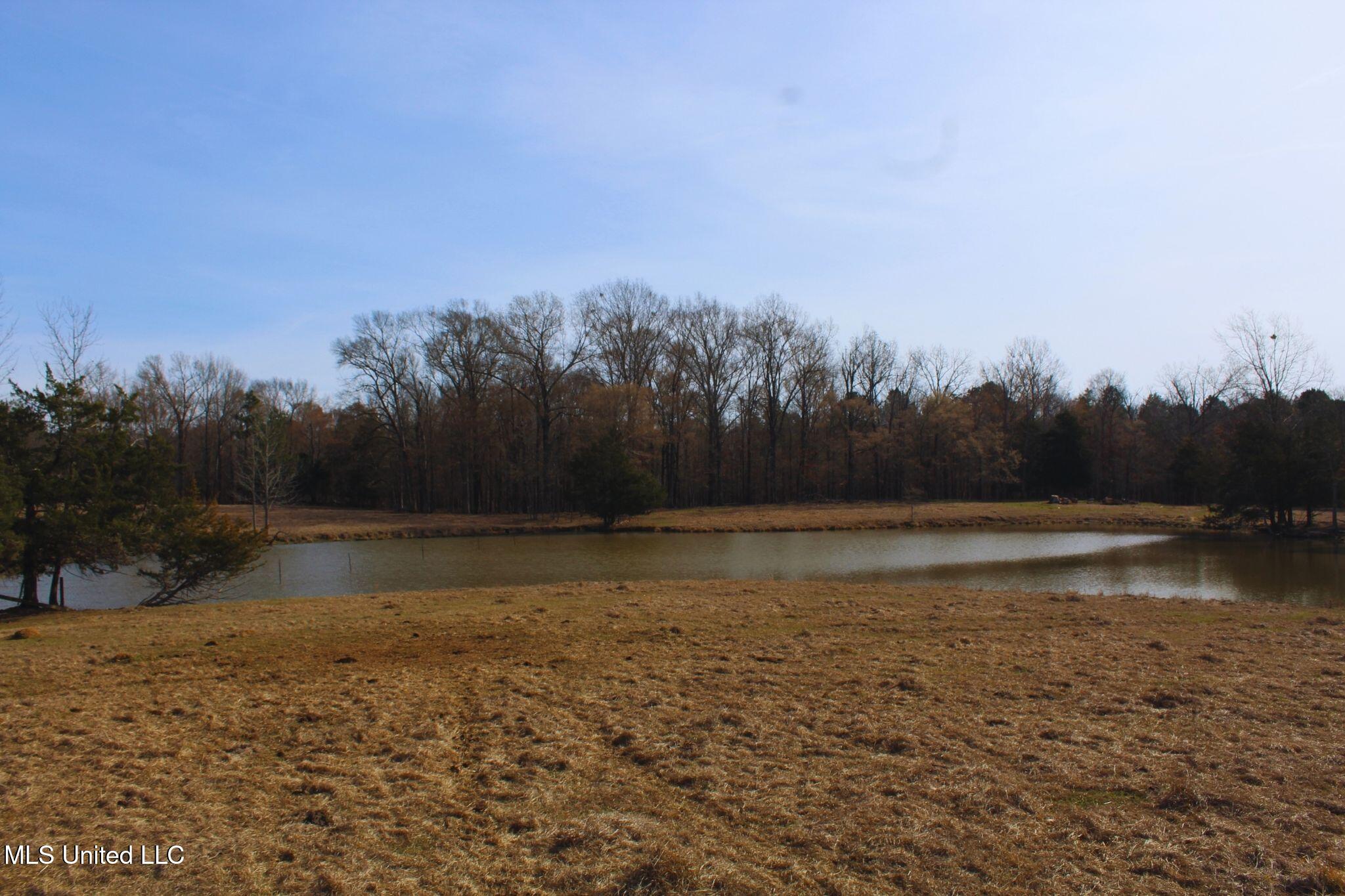 2046 Mitchell Road Crystal Springs, MS 39059 - Photo 12 of 46 photo 12