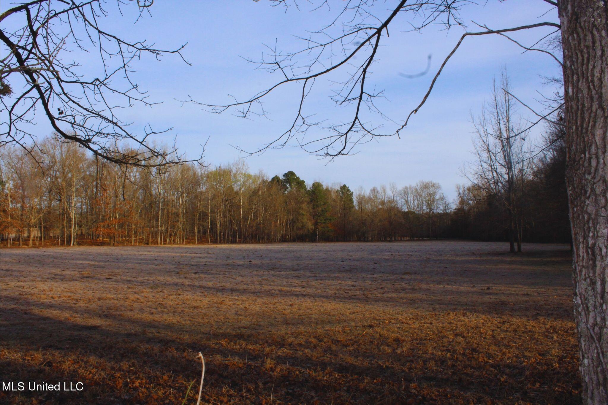 2046 Mitchell Road Crystal Springs, MS 39059 - Photo 15 of 46 photo 15