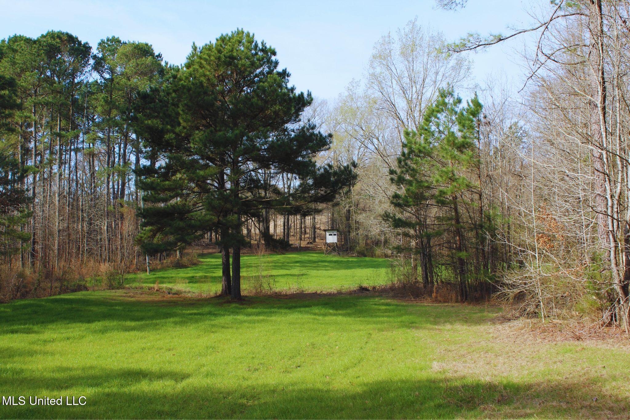 2046 Mitchell Road Crystal Springs, MS 39059 - Photo 16 of 46 photo 16