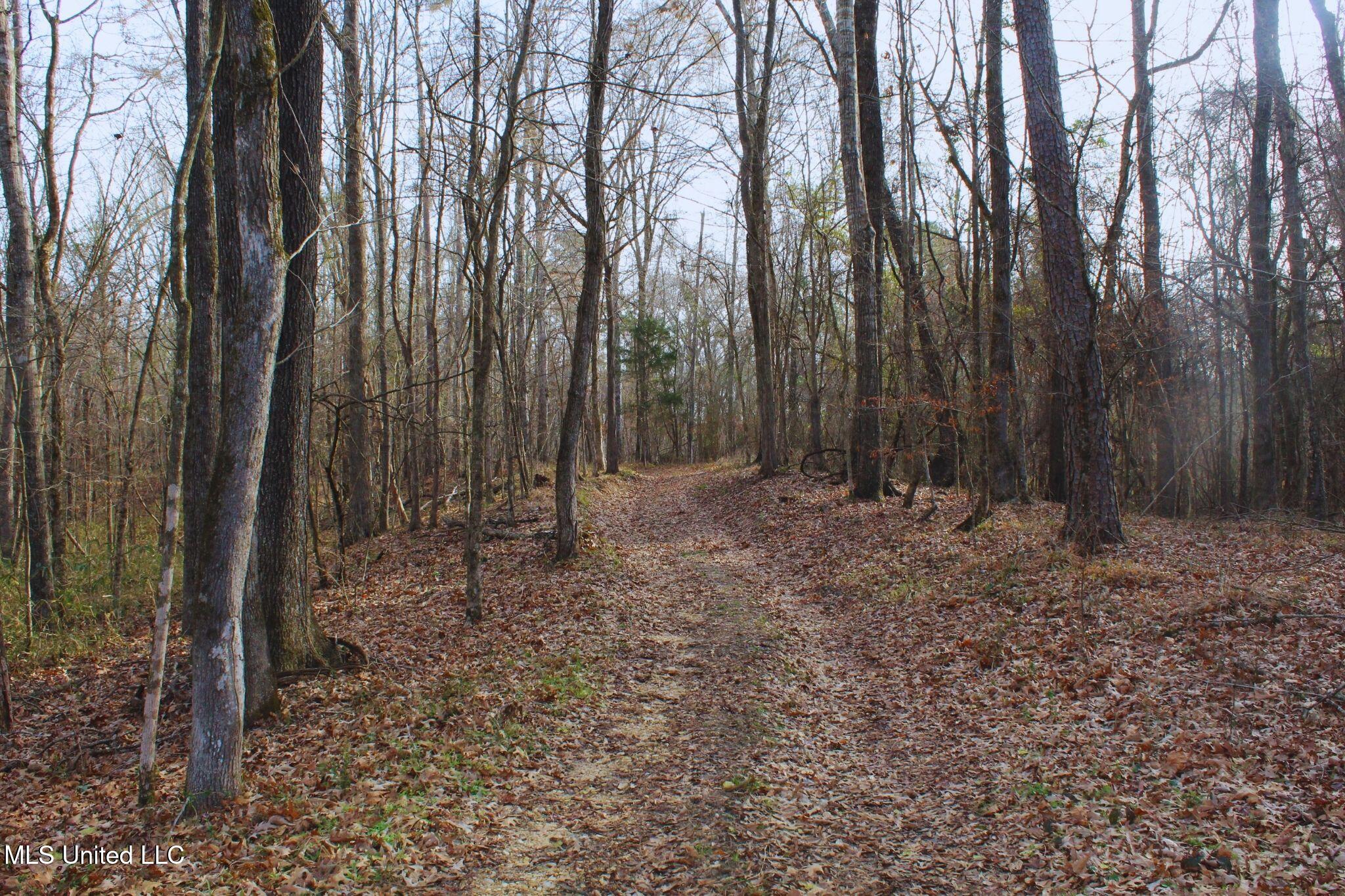 2046 Mitchell Road Crystal Springs, MS 39059 - Photo 17 of 46 photo 17