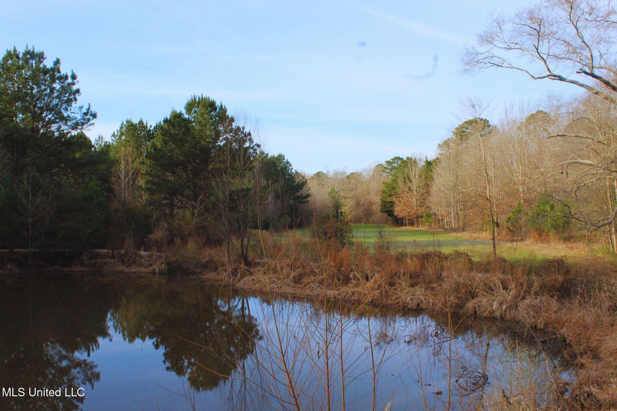 2046 Mitchell Road Crystal Springs, MS 39059 - Photo 19 of 46 photo 19