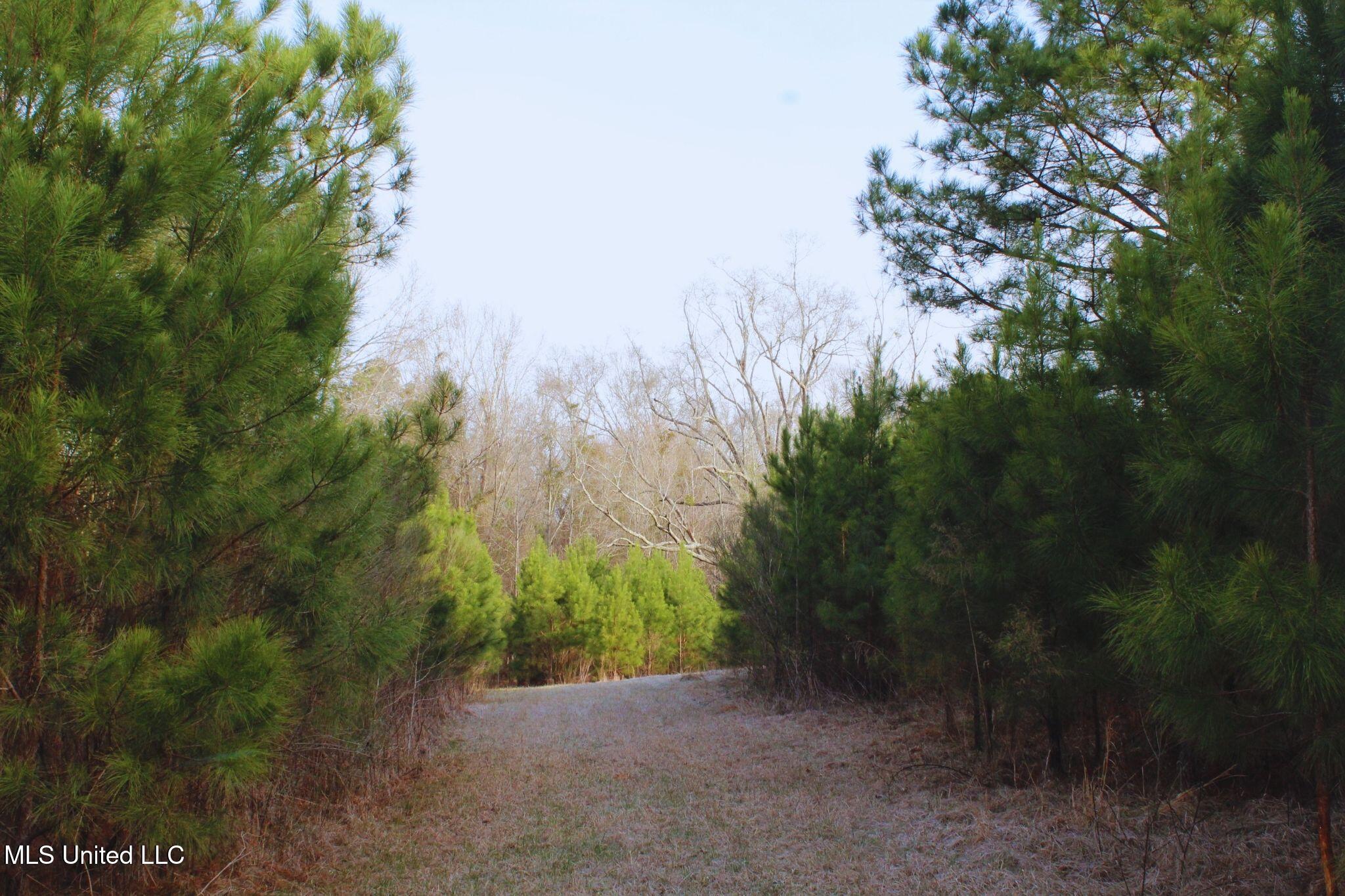 2046 Mitchell Road Crystal Springs, MS 39059 - Photo 20 of 46 photo 20