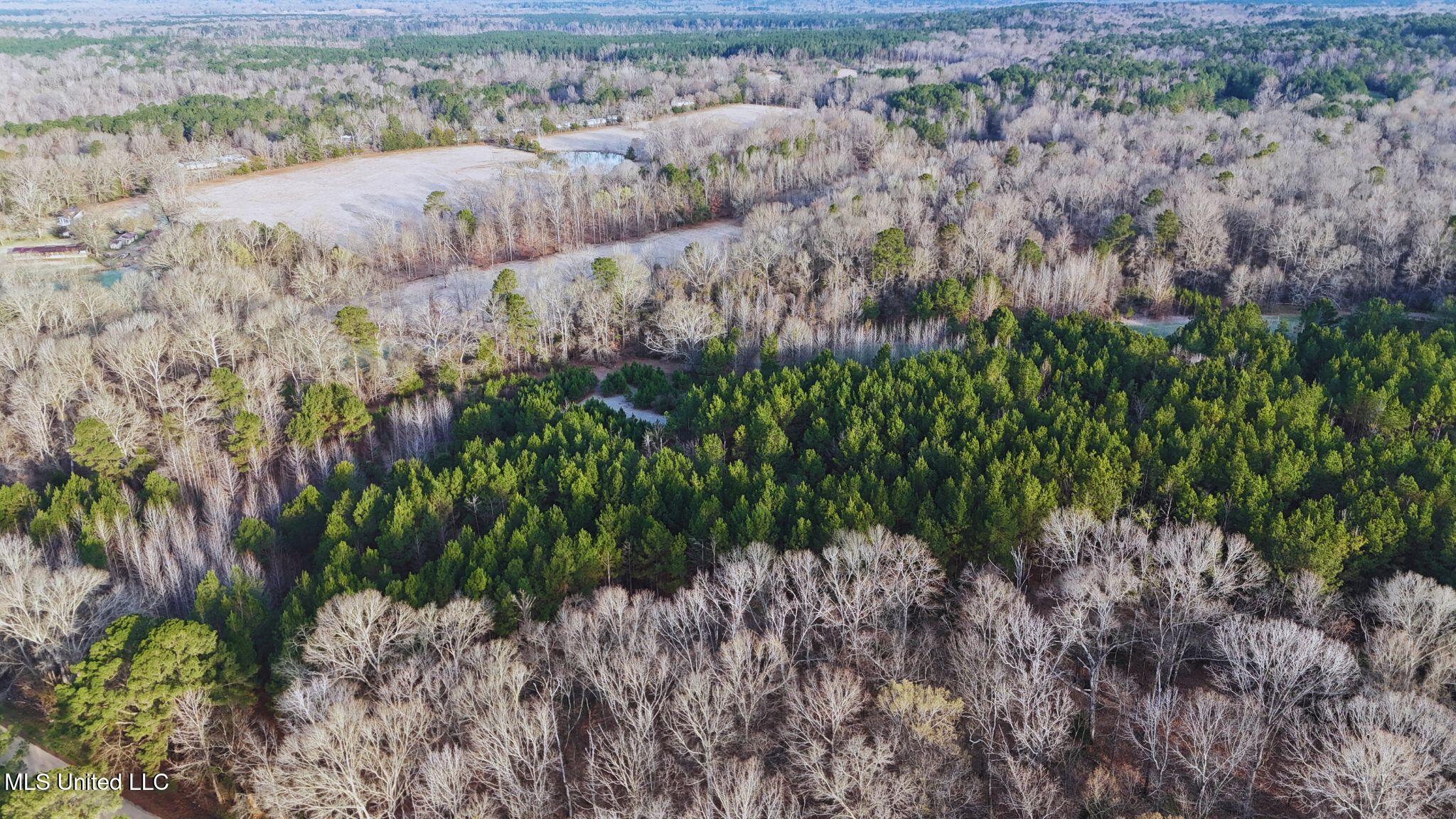 2046 Mitchell Road Crystal Springs, MS 39059 - Photo 2 of 46 photo 2