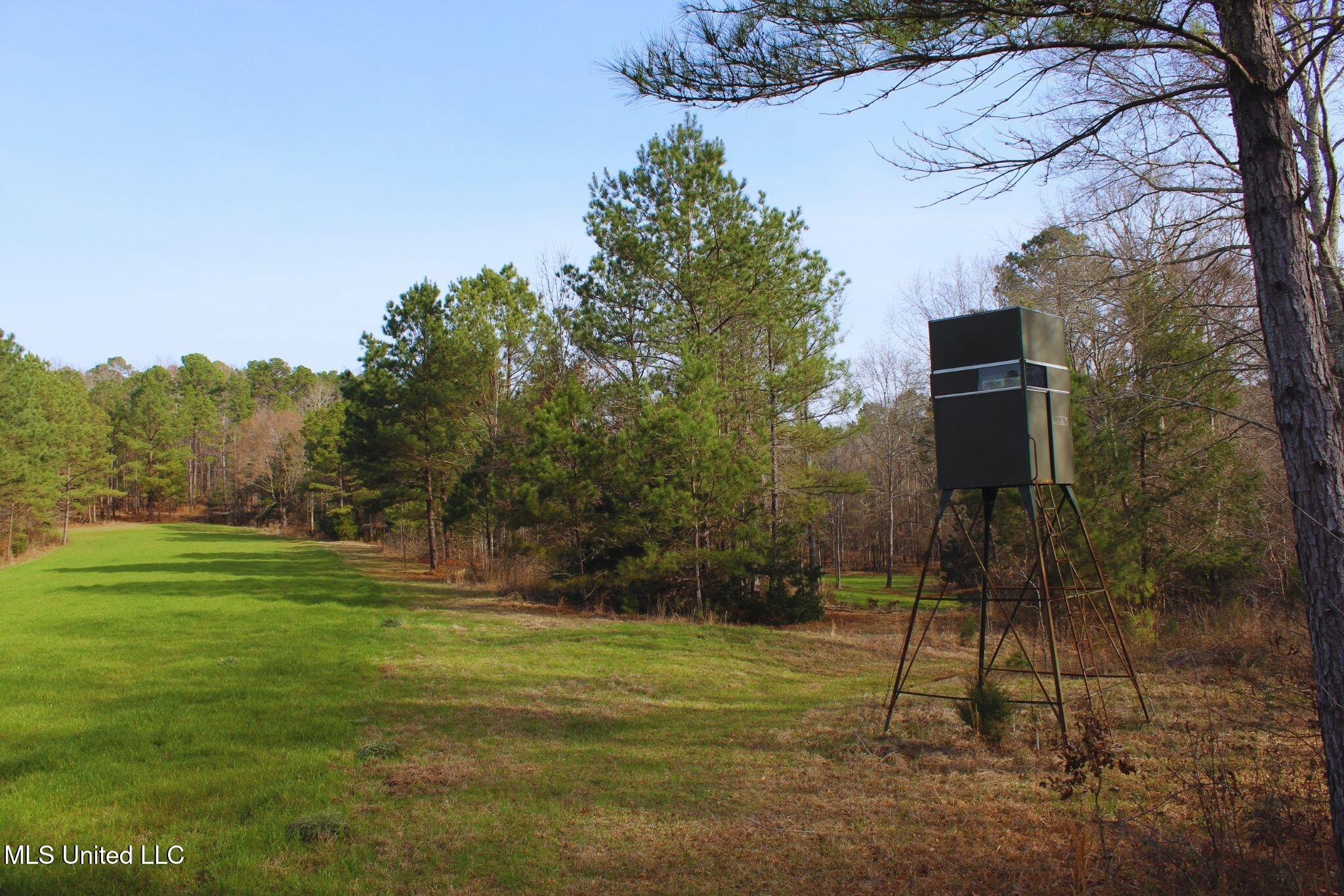 2046 Mitchell Road Crystal Springs, MS 39059 - Photo 21 of 46 photo 21