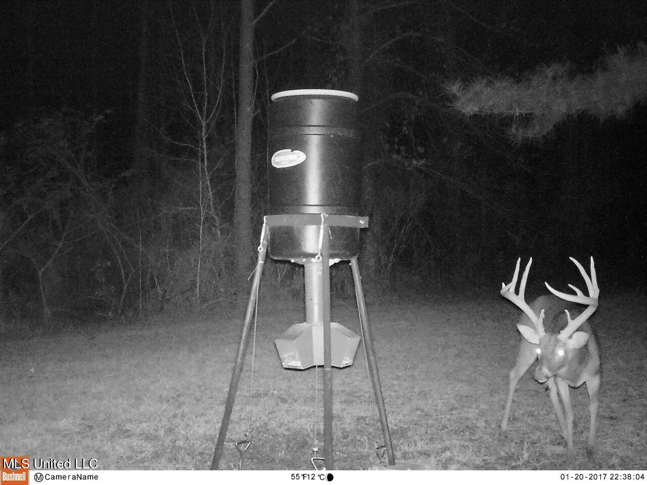 2046 Mitchell Road Crystal Springs, MS 39059 - Photo 22 of 46 Deer 2