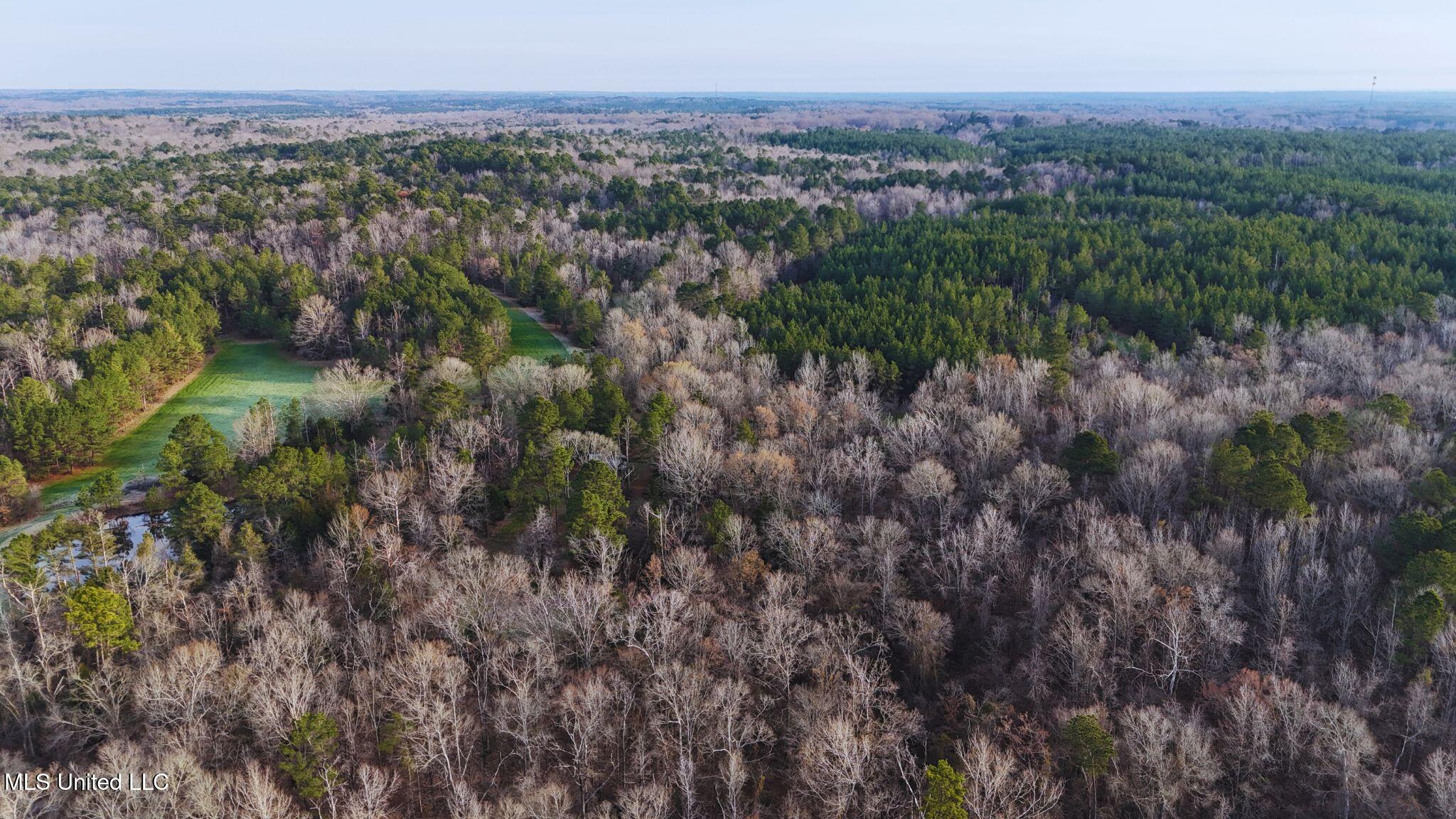 2046 Mitchell Road Crystal Springs, MS 39059 - Photo 32 of 46 photo 26