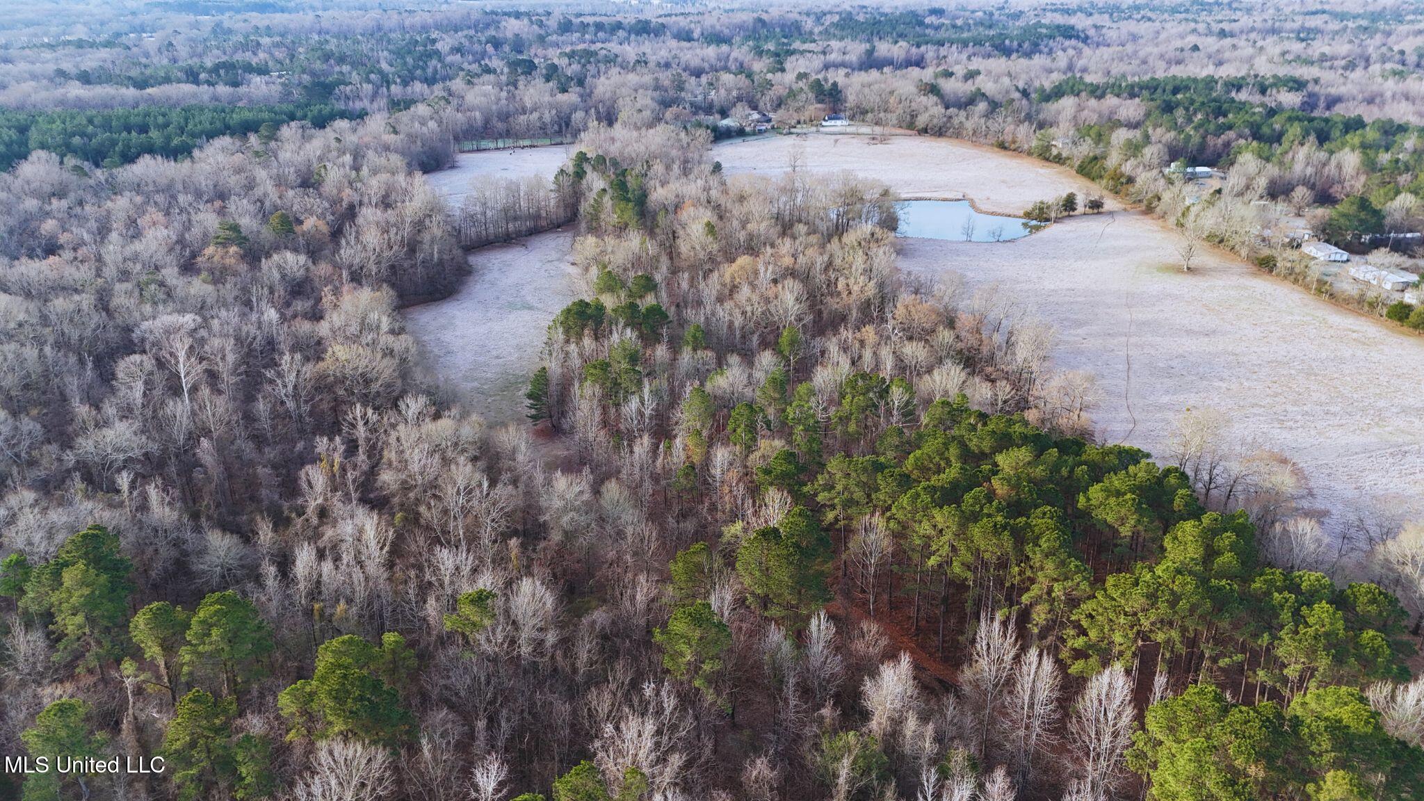 2046 Mitchell Road Crystal Springs, MS 39059 - Photo 34 of 46 photo 28