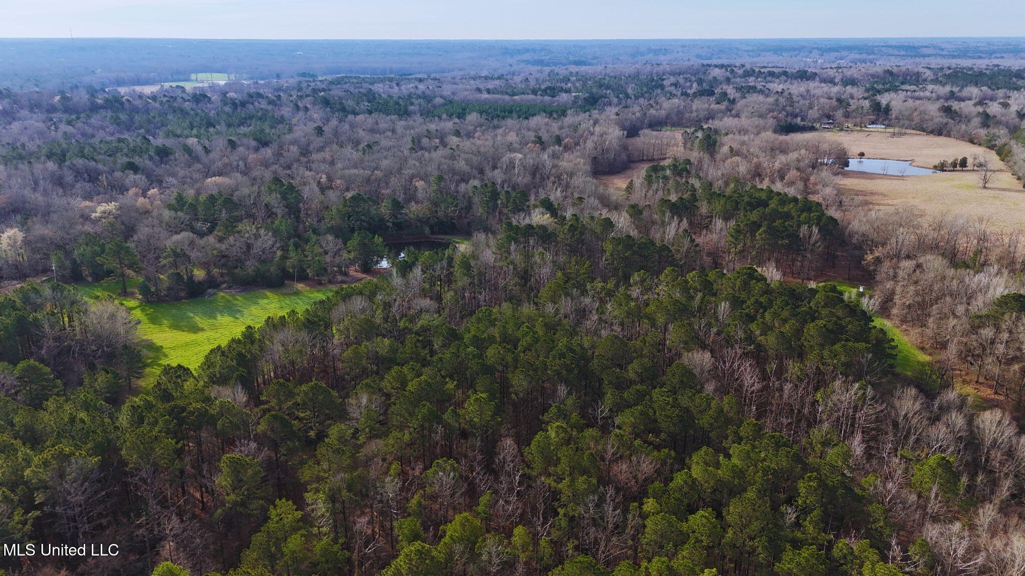 2046 Mitchell Road Crystal Springs, MS 39059 - Photo 35 of 46 photo 29