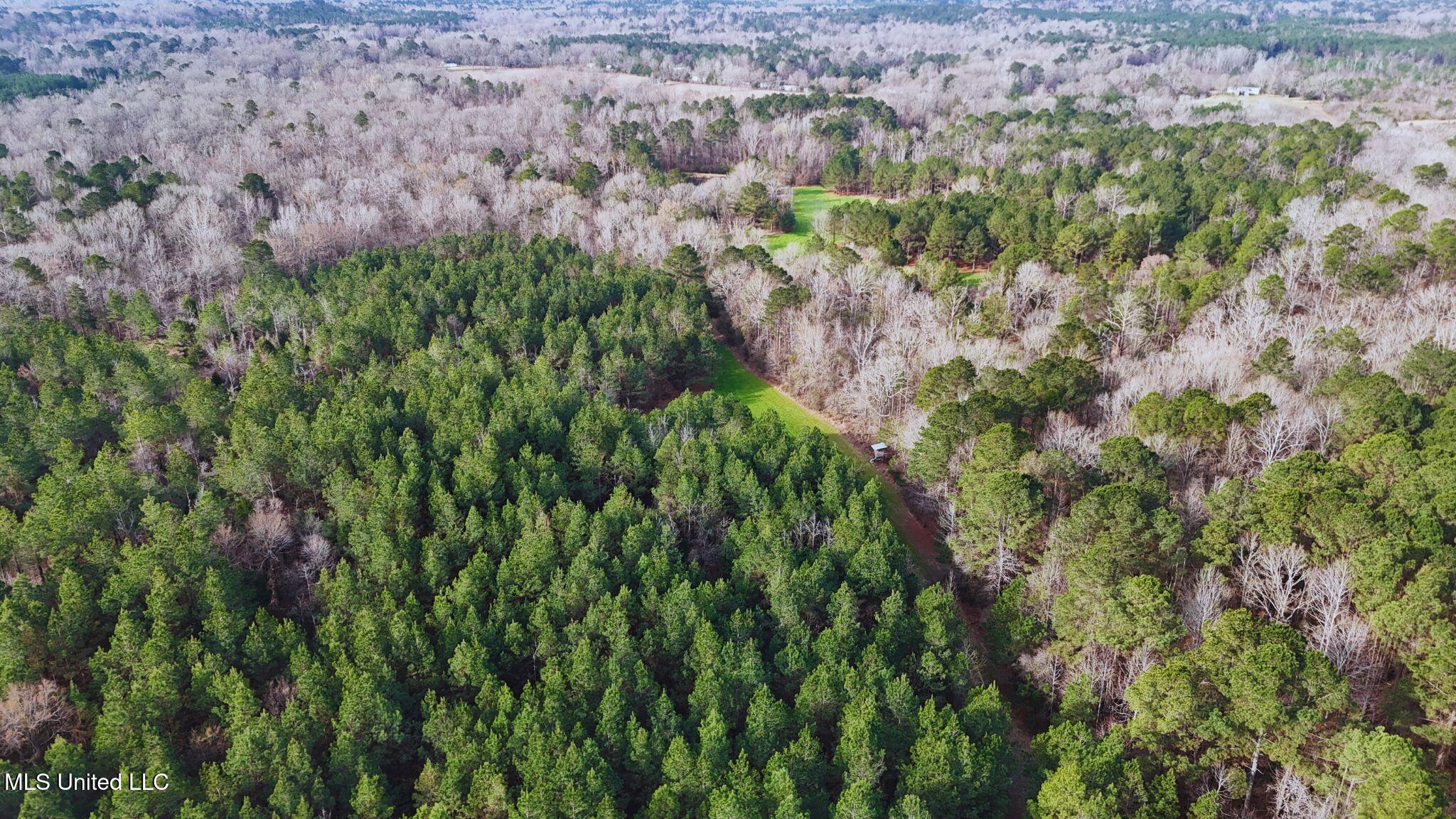 2046 Mitchell Road Crystal Springs, MS 39059 - Photo 36 of 46 photo 30