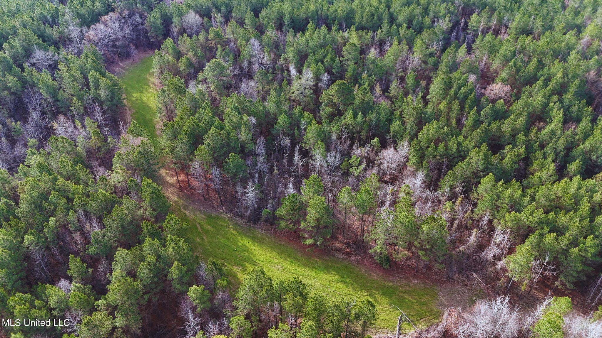 2046 Mitchell Road Crystal Springs, MS 39059 - Photo 38 of 46 photo 32