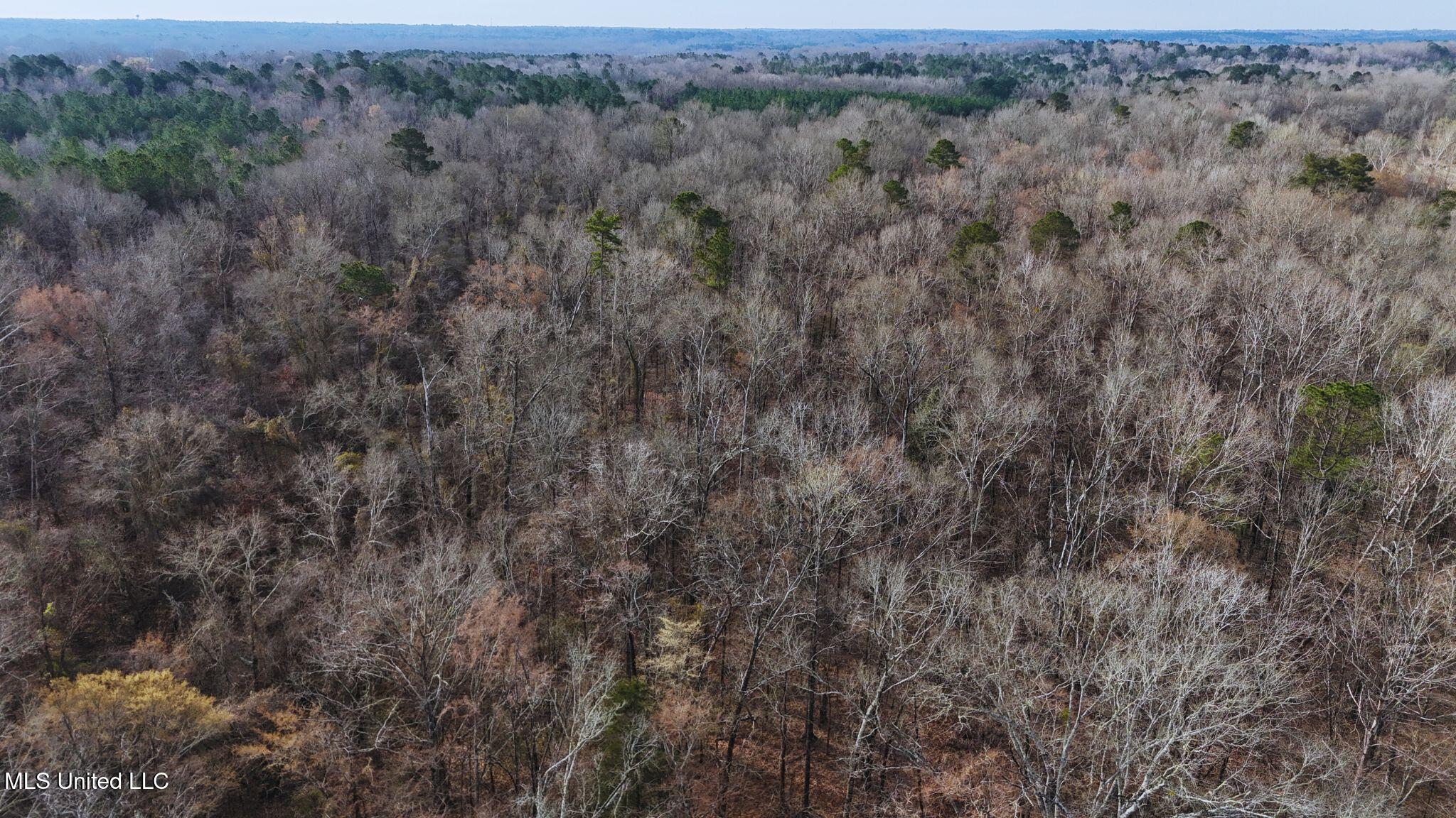 2046 Mitchell Road Crystal Springs, MS 39059 - Photo 39 of 46 photo 33