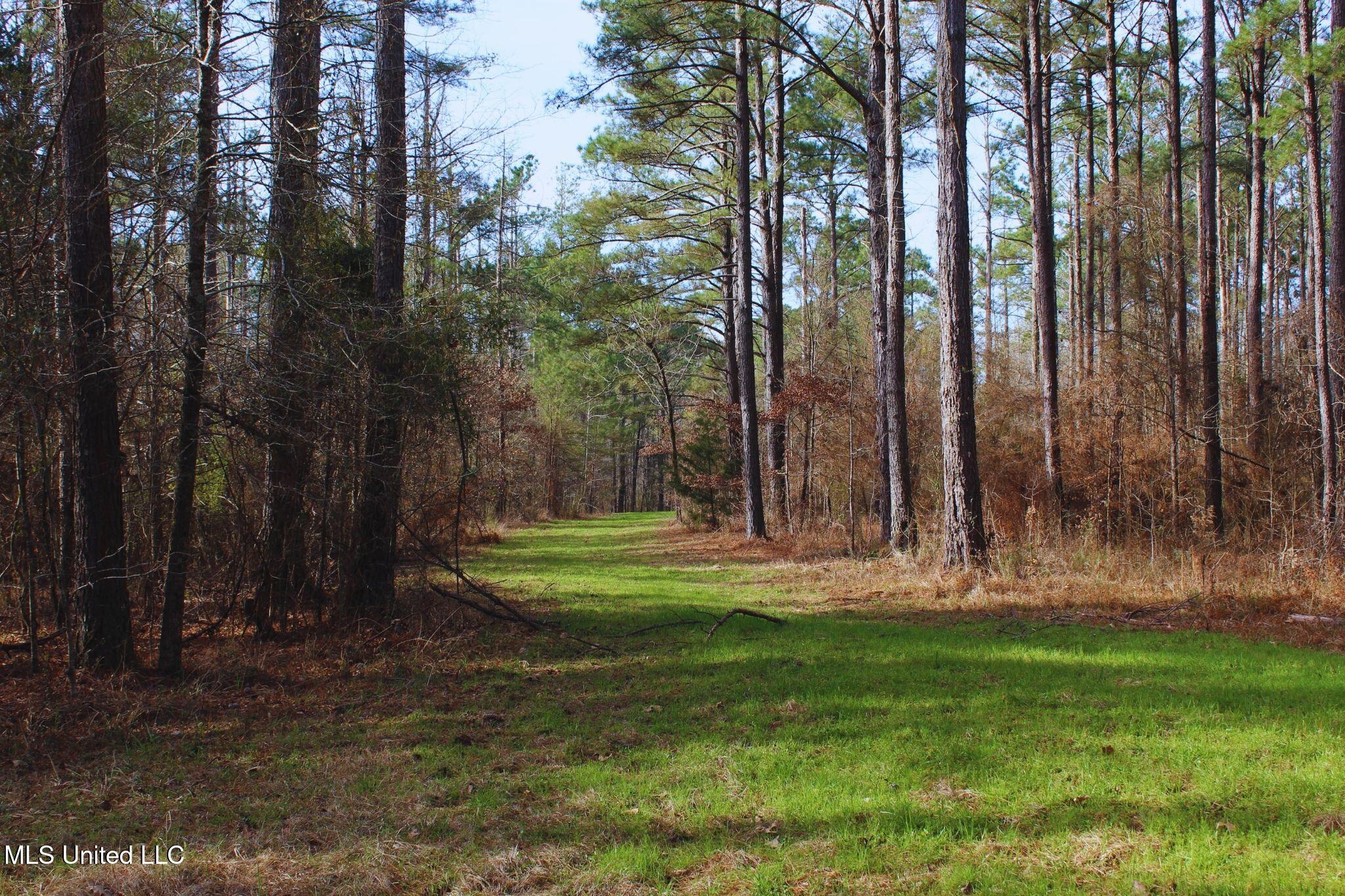 2046 Mitchell Road Crystal Springs, MS 39059 - Photo 4 of 46 photo 4