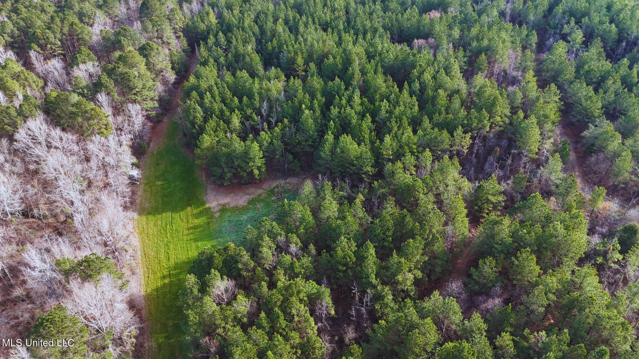 2046 Mitchell Road Crystal Springs, MS 39059 - Photo 41 of 46 photo 35