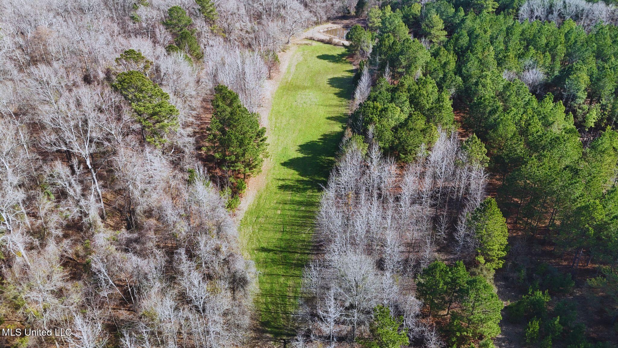 2046 Mitchell Road Crystal Springs, MS 39059 - Photo 42 of 46 photo 36