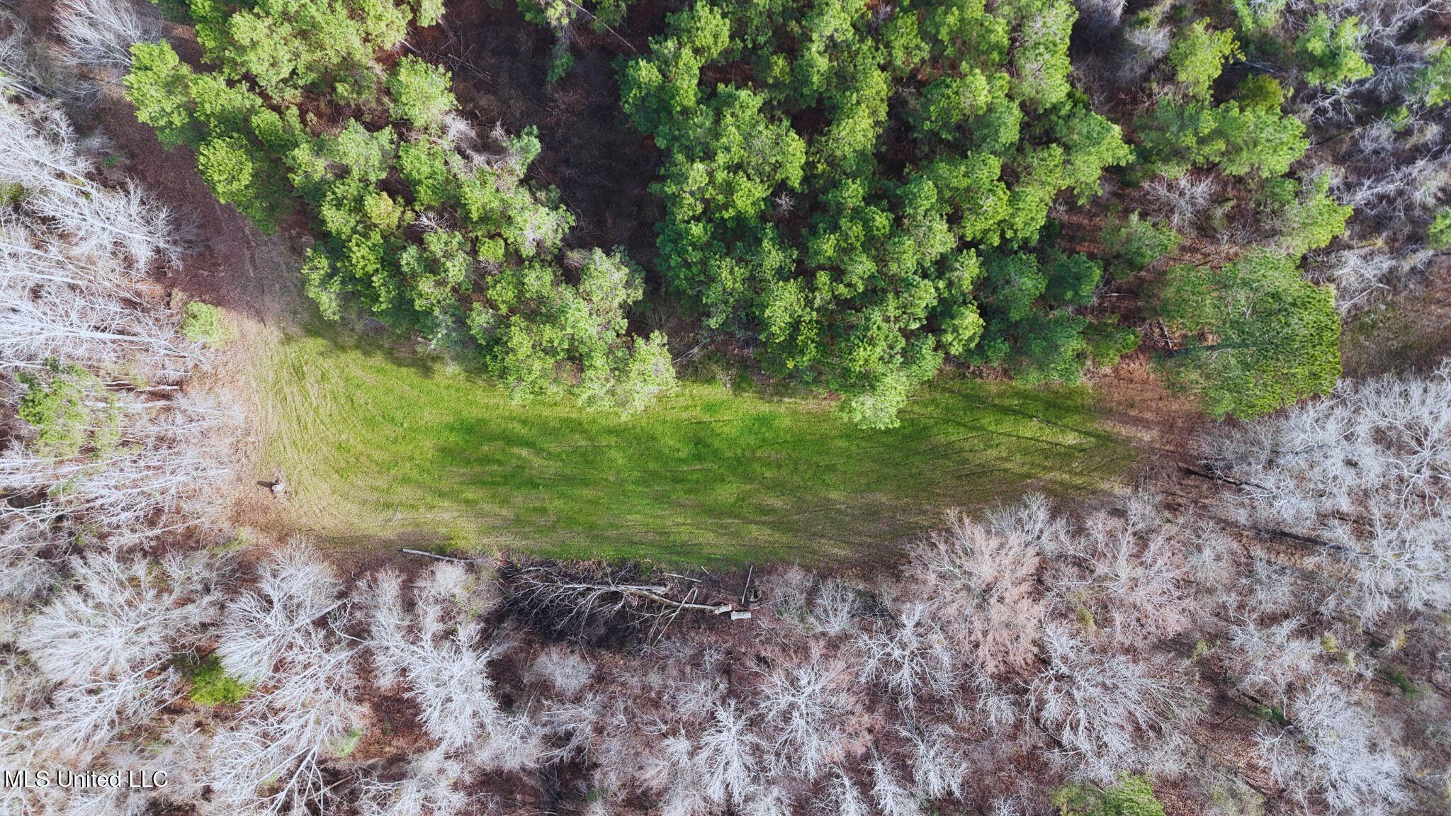 2046 Mitchell Road Crystal Springs, MS 39059 - Photo 43 of 46 photo 37