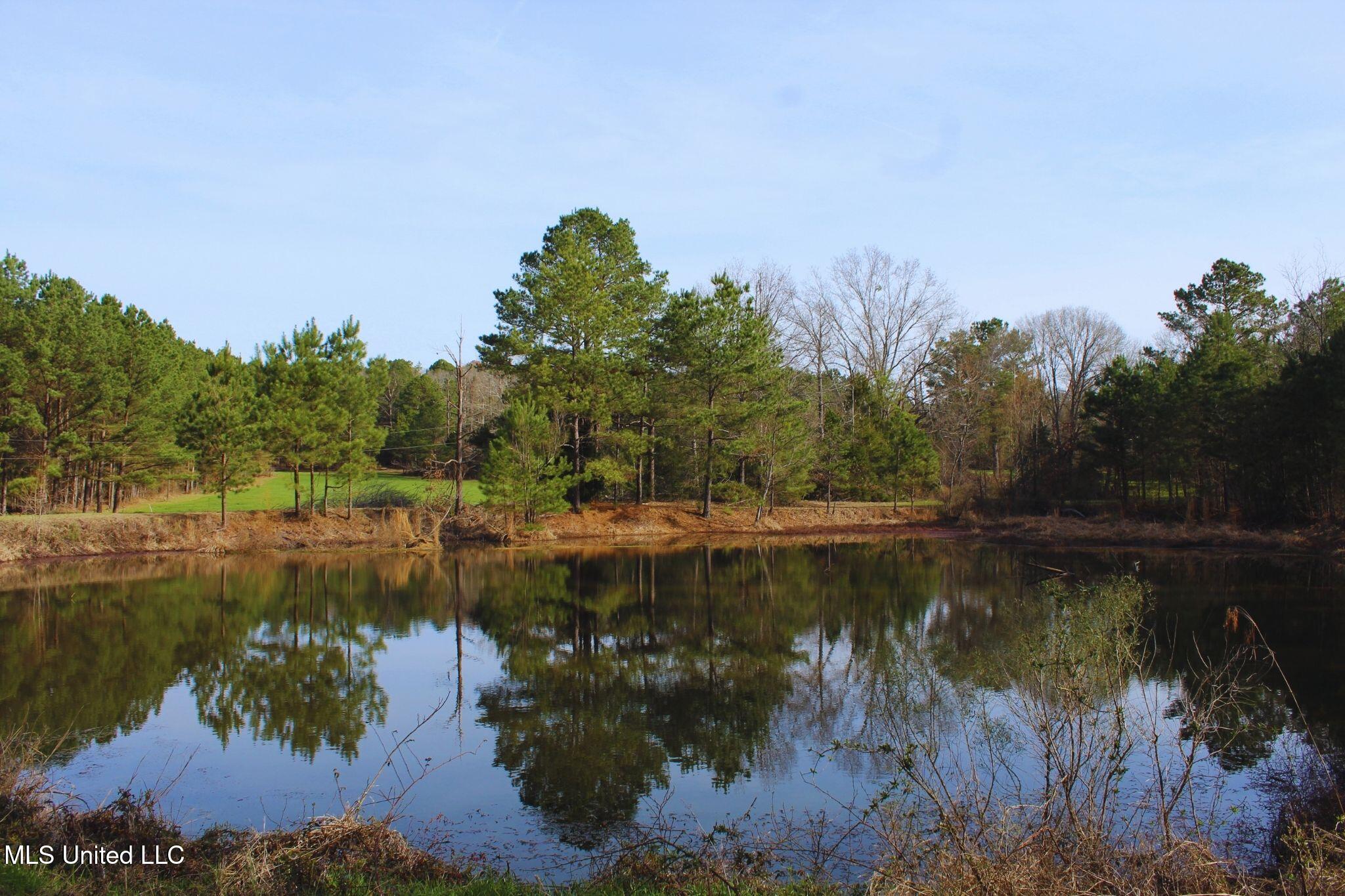 2046 Mitchell Road Crystal Springs, MS 39059 - Photo 8 of 46 photo 8