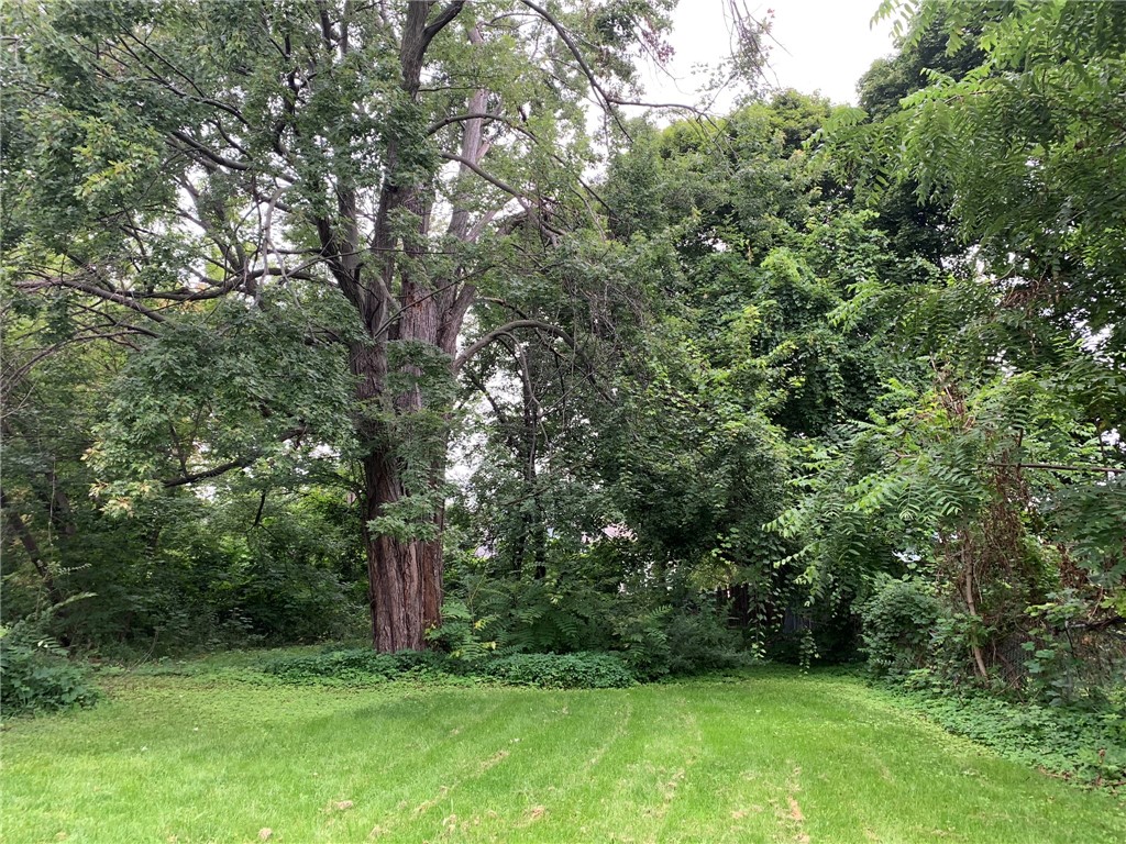 24 Evergreen Street Rochester, NY 14605 - Photo 3 of 30