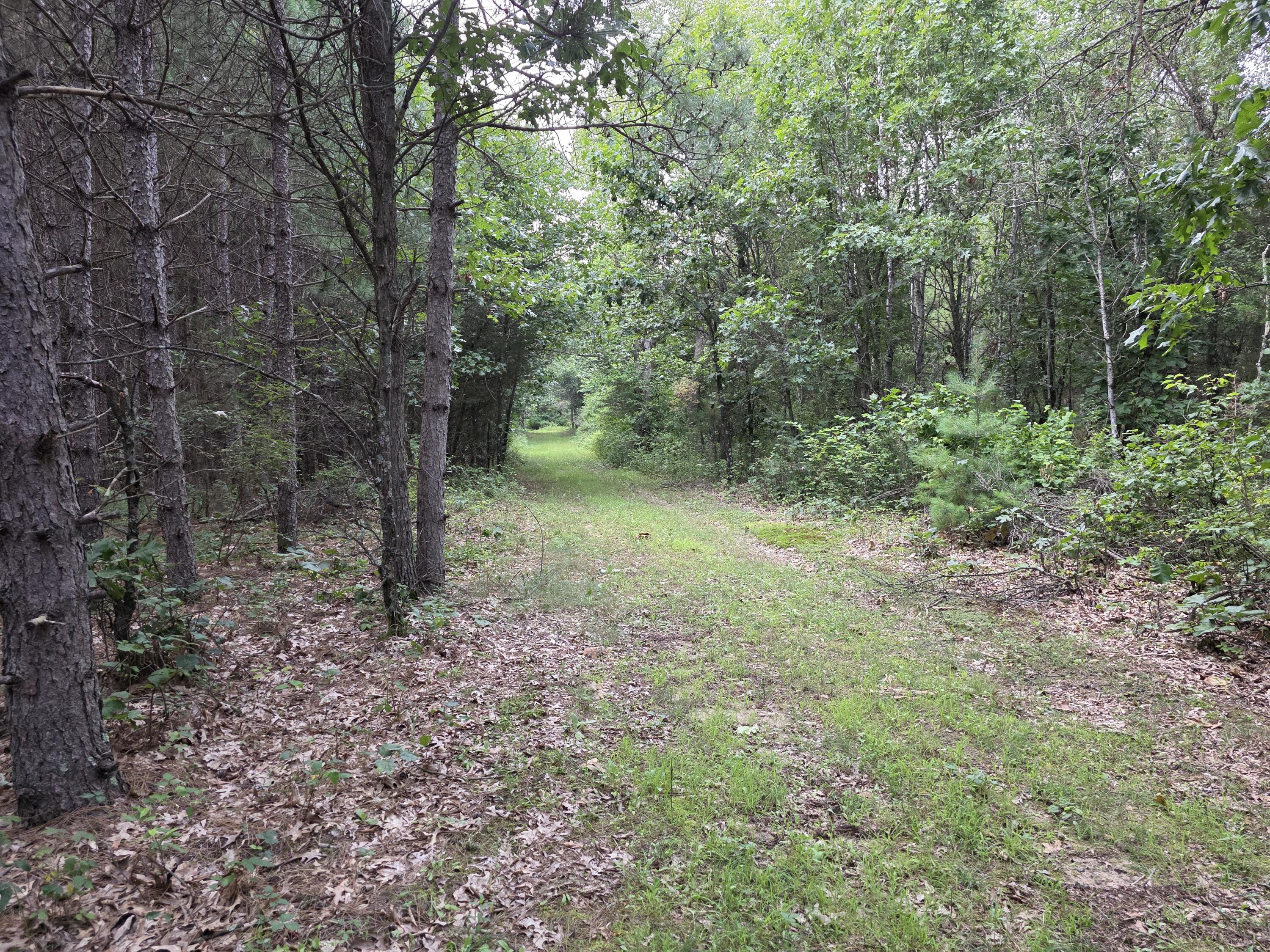 0 Cambridge Road Sparta, WI 54656 - Photo 23 of 63 20260810_191040
