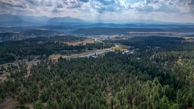 a view of city and green field