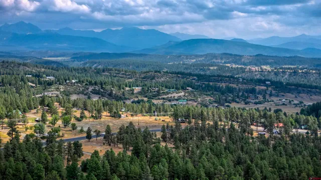 a view of a lake in middle of forest