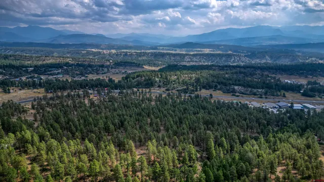 a view of a city with lush green forest