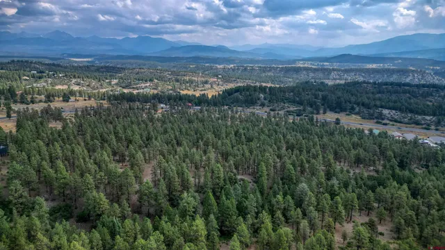 a view of a city with lush green forest