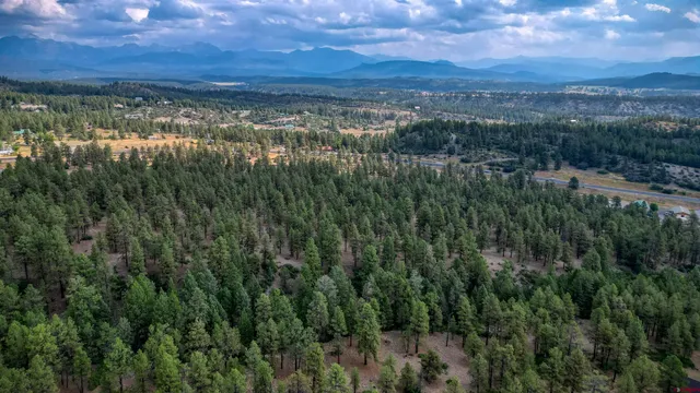 a view of a yard with an outdoor space