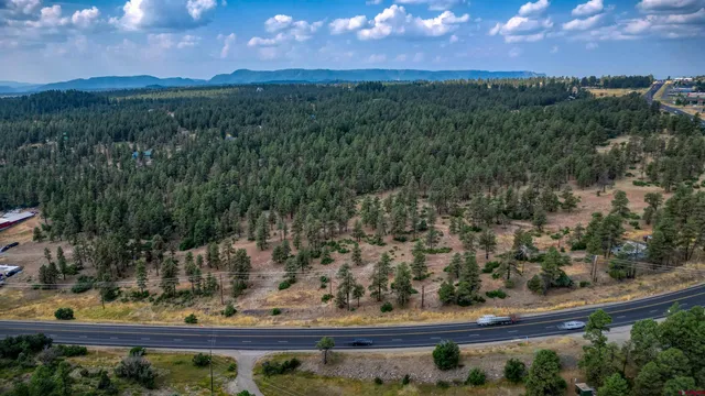 a view of a forest with trees in front of it