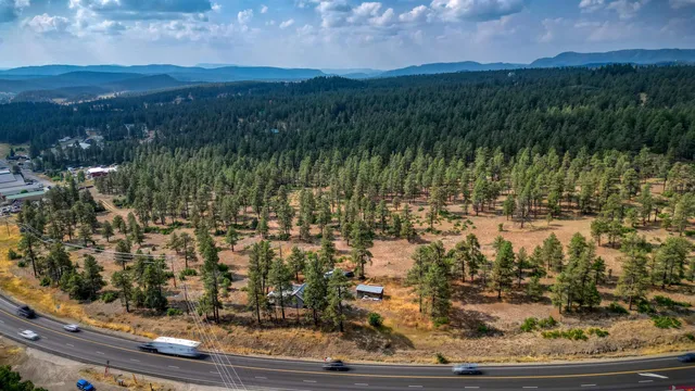 a view of outdoor space with lots of trees
