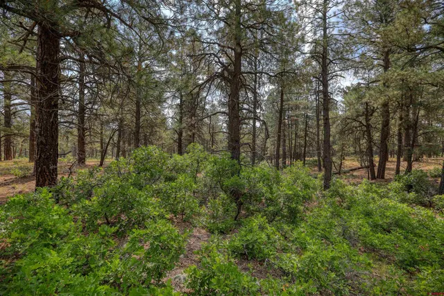 $1,600,000 | 1855 West U.S. Highway 160, Pagosa Springs, CO 81147