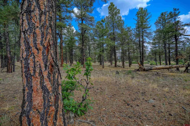 $1,600,000 | 1855 West U.S. Highway 160, Pagosa Springs, CO 81147