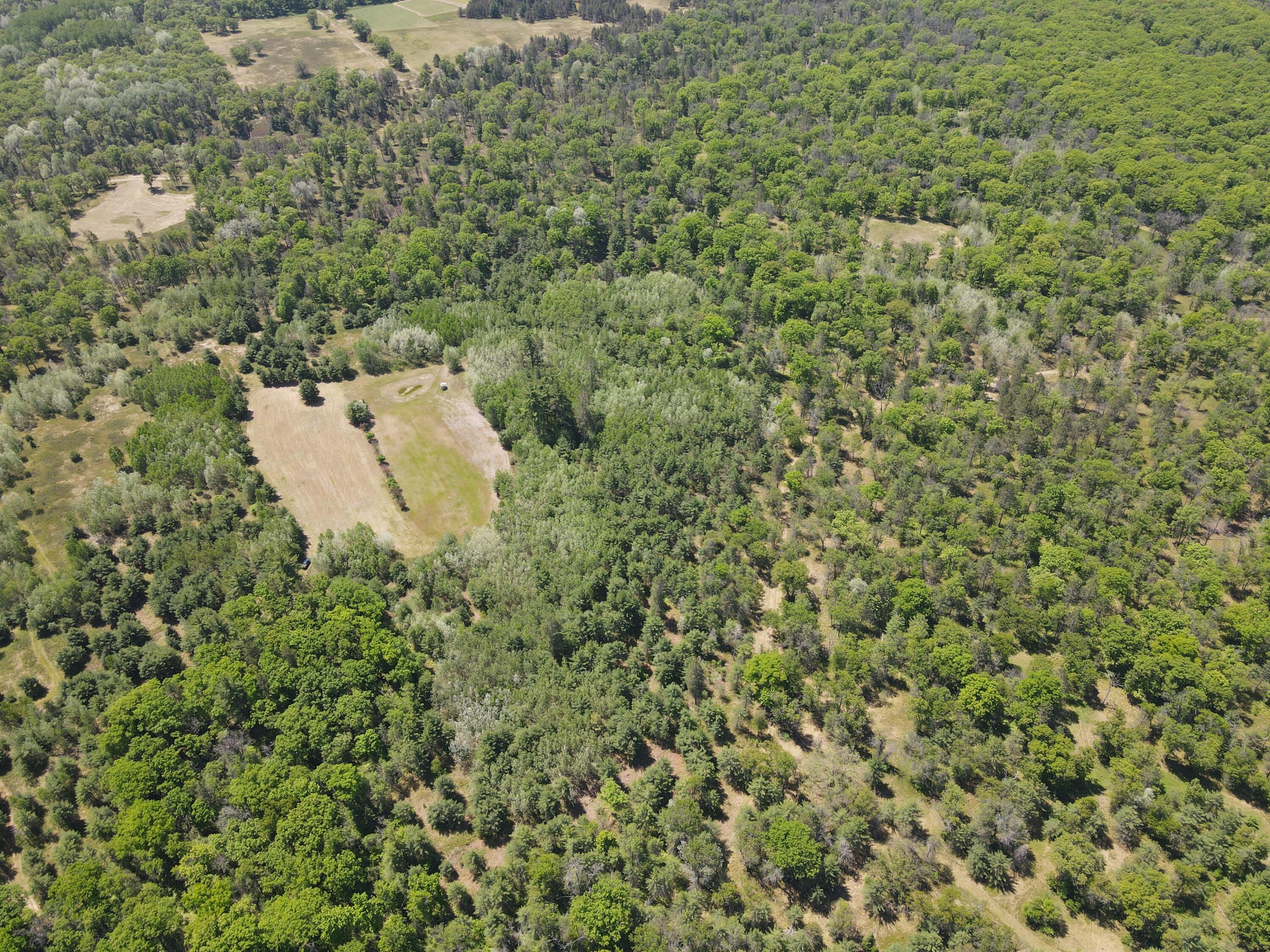 6020 Van Wagoner Road Curran, MI 48728 - Photo 21 of 44 DJI_0582
