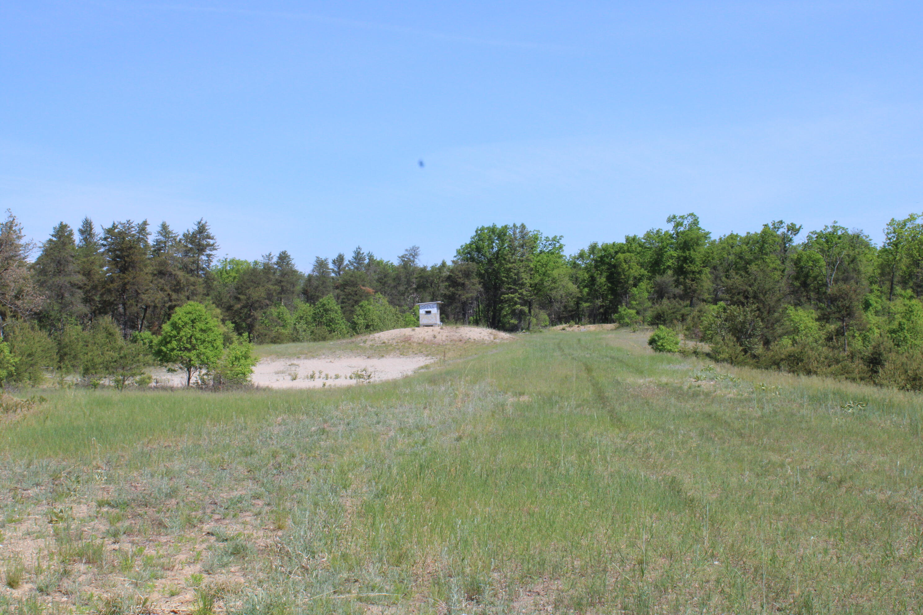 6020 Van Wagoner Road Curran, MI 48728 - Photo 30 of 44 IMG_0350