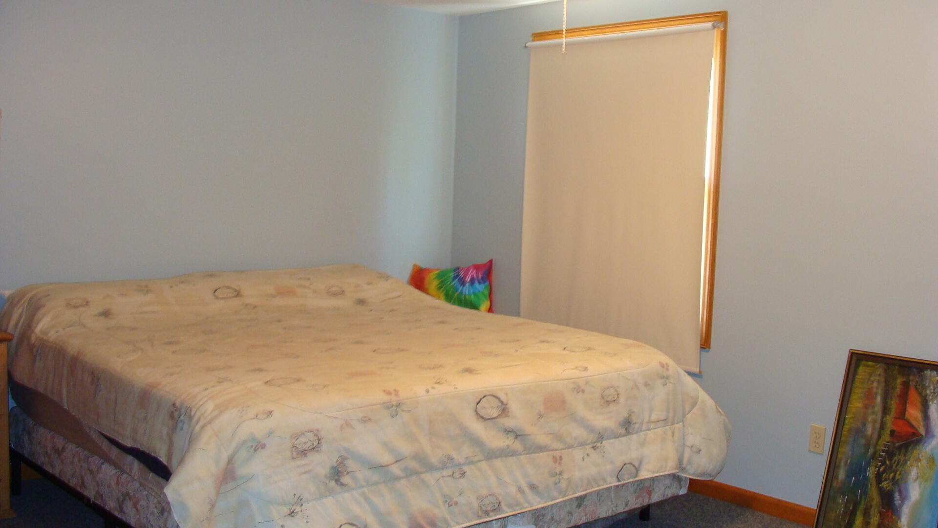 6020 Van Wagoner Road Curran, MI 48728 - Photo 9 of 44 DSC04905 - Copy