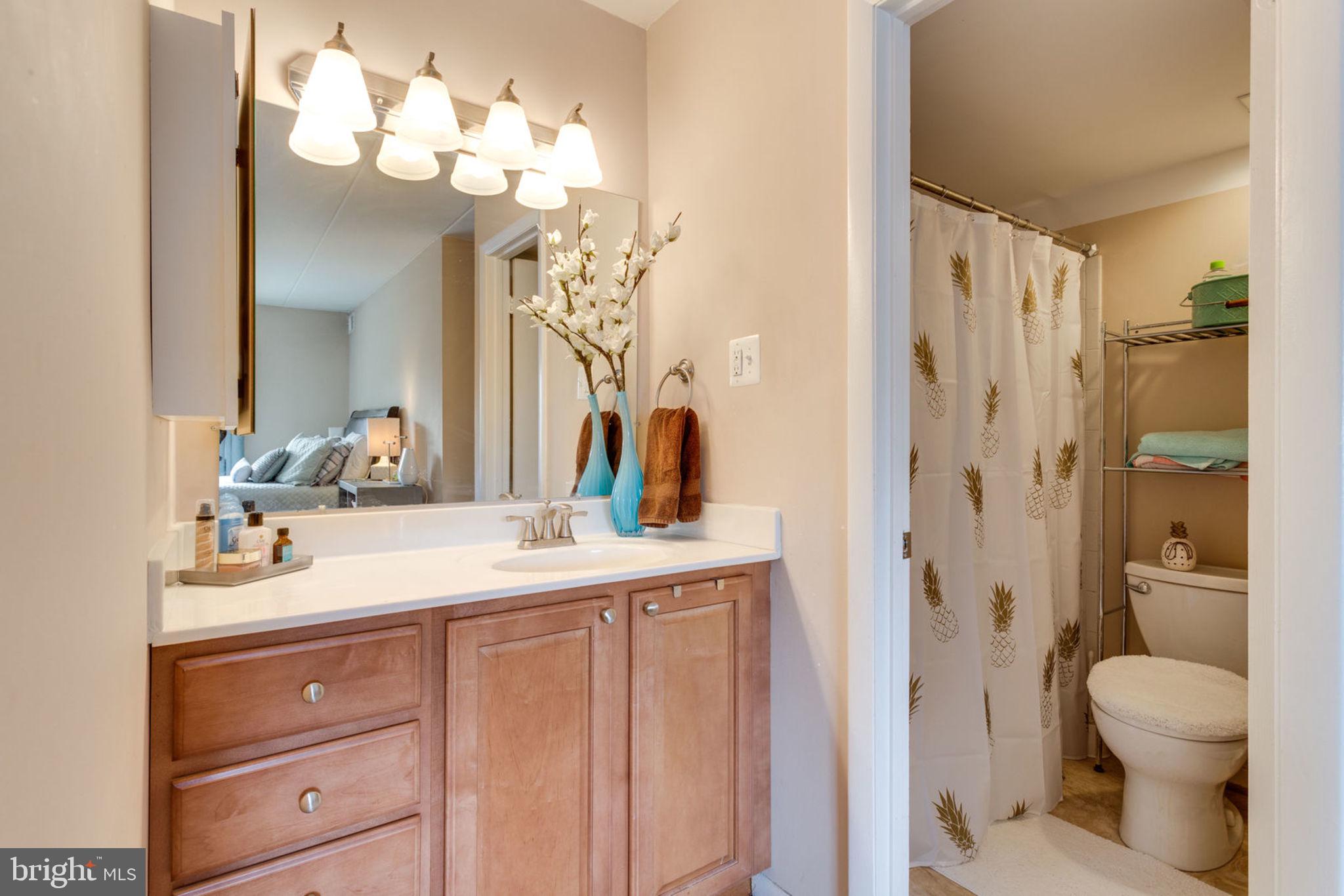 6270 Edsall Road, Unit 203 Alexandria, VA 22312 - Photo 23 of 40 Master Bathroom