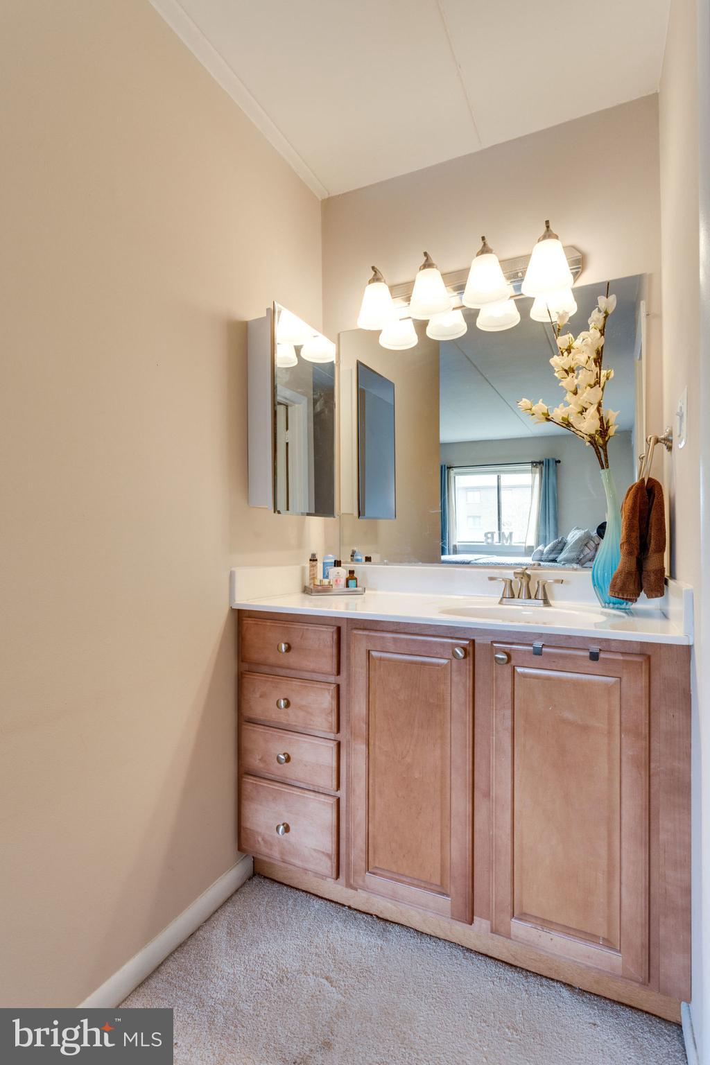 6270 Edsall Road, Unit 203 Alexandria, VA 22312 - Photo 24 of 40 Master Bathroom