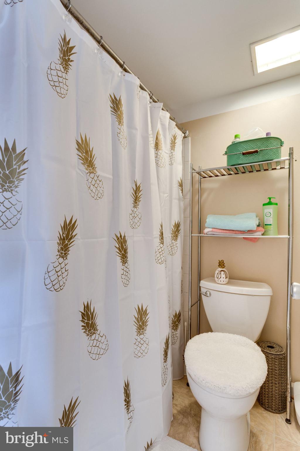 6270 Edsall Road, Unit 203 Alexandria, VA 22312 - Photo 25 of 40 Master Bathroom