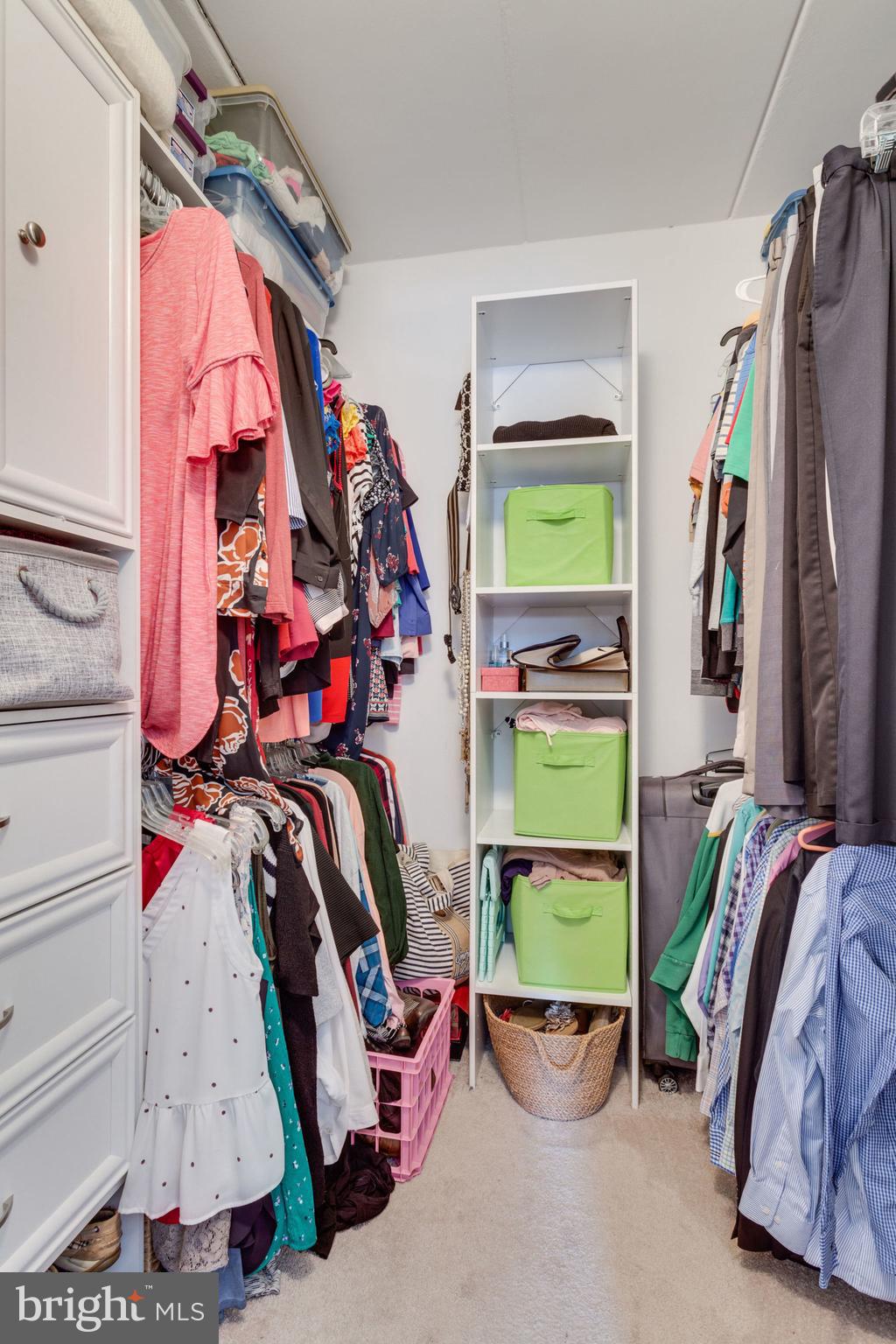 6270 Edsall Road, Unit 203 Alexandria, VA 22312 - Photo 26 of 40 Walk-In Closet