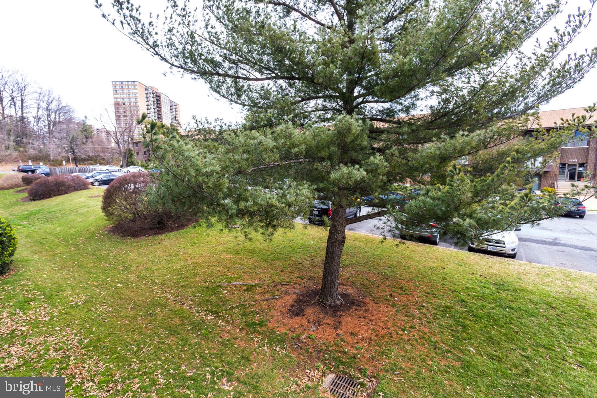 6270 Edsall Road, Unit 203 Alexandria, VA 22312 - Photo 35 of 40 View