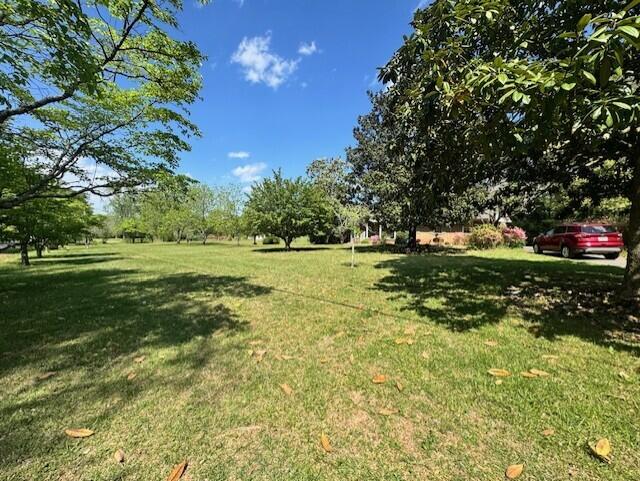 524 Cochran Road Chatsworth, GA 30705 - Photo 25 of 26 524 Cochran yard